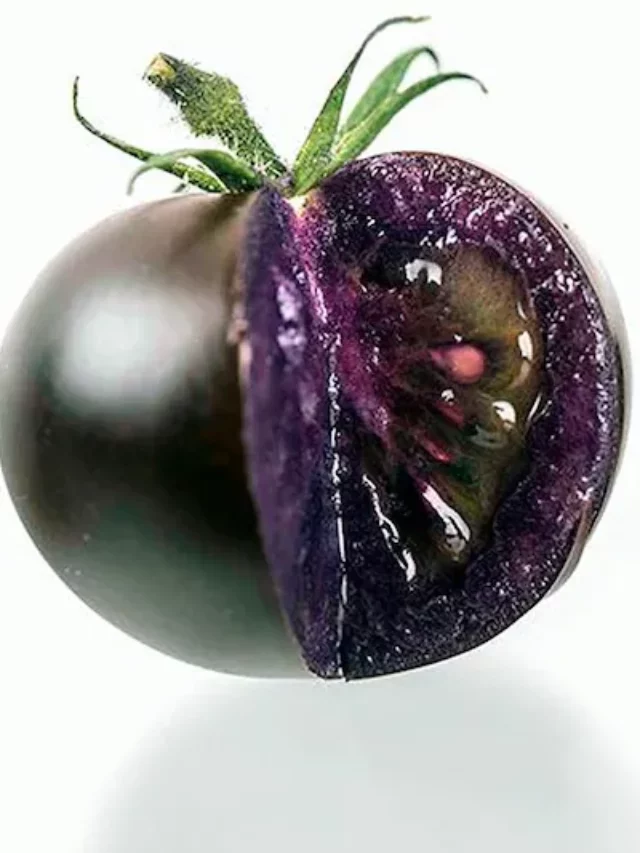 बैंगनी टमाटर: जानिए इसके फायदे